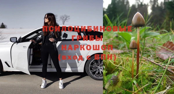 гашишное масло Богданович